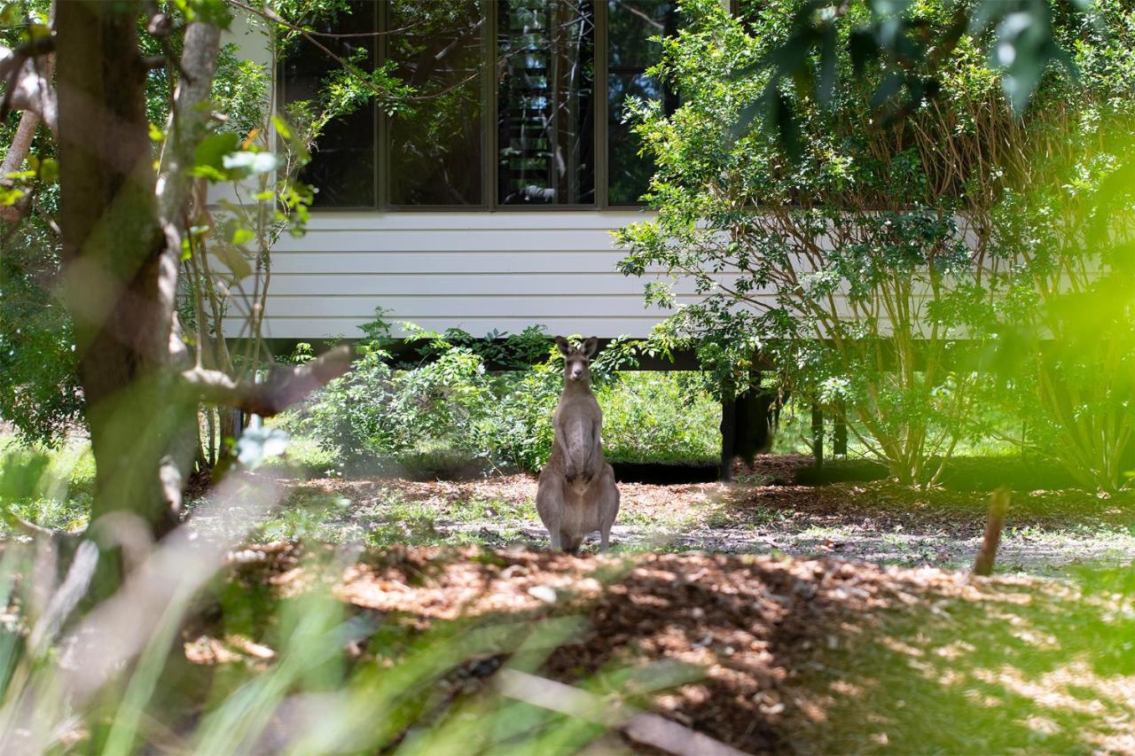 Eumarella Shores Noosa Lake Retreat Noosaville Zewnętrze zdjęcie